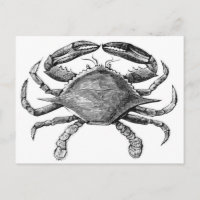 Dessin de crabe vintage