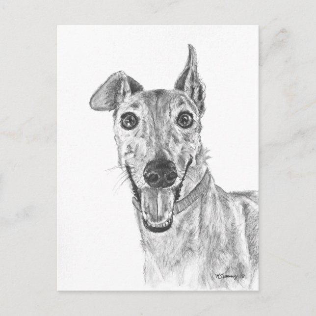 Carte Postale Dessin de fermeture Greyhound (Devant)