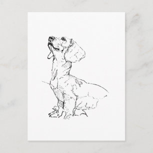 Carte Postale Dessin de joli teckel, parent de chien