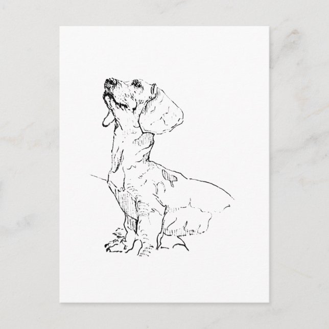 Carte Postale Dessin de joli teckel, parent de chien (Devant)