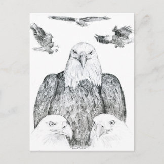 Carte Postale Dessin de l'aigle à balles