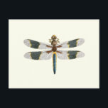 Carte Postale Dessin de libellules vintages dessin d'insectes an<br><div class="desc">Conception vintage de libellules. La libellule a de beaux détails,  dont des ailes rayées vertes et jaunes et un corps bleu,  jaune et marron. Cette oeuvre vintage de libellule est dessinée à la main et peinte. L'illustration est tirée d'un livre d'entomologie antique avec de nombreux types de libellules.</div>
