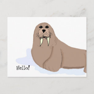 Carte Postale Dessin de Morse