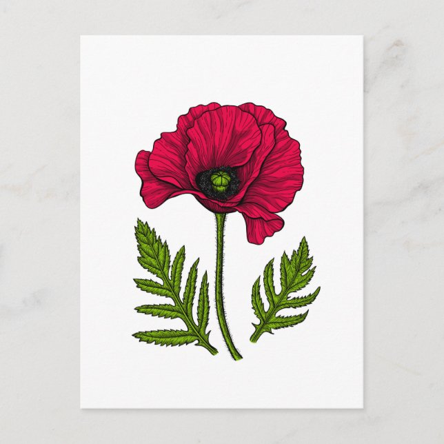 Carte Postale Dessin de pavot rouge 3 (Devant)