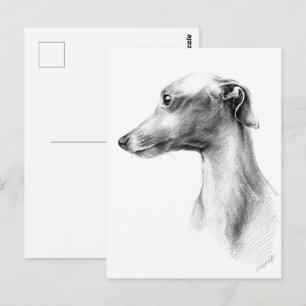 Carte Postale Dessin de portrait de chien de Greyhound Whippet i