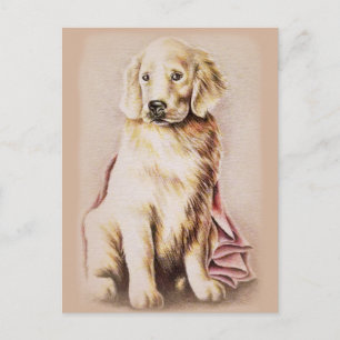 Carte Postale Dessin de portrait de chiot Golden Retriever comme