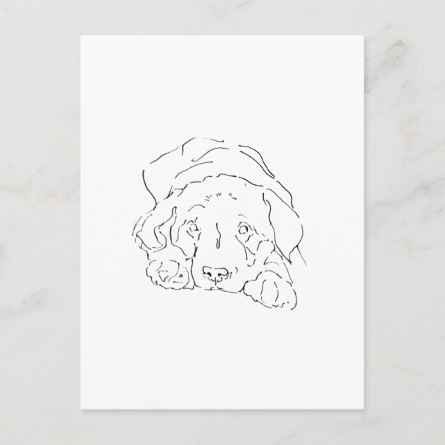 Carte Postale Dessin de poster, décoration murale d'un Labrador  (Devant)