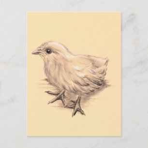 Carte Postale Dessin de poulet pour bébés