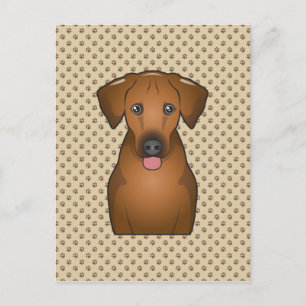 Carte Postale Dessin de Rhodesian Ridgeback