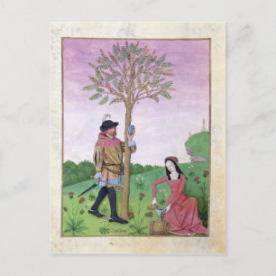 Carte Postale Dessin de sap à partir d'un arbre