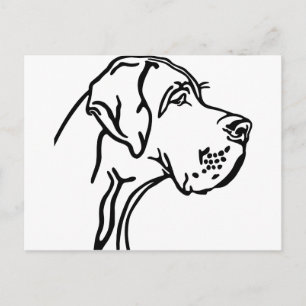 Carte Postale Dessin de tête de Dogue Allemand