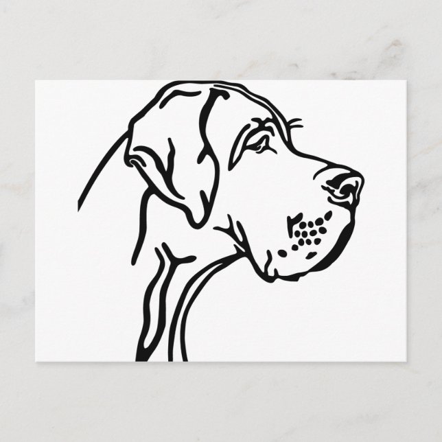 Carte Postale Dessin de tête de Dogue Allemand (Devant)