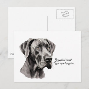Carte Postale Dessin de tête de Grand Danois