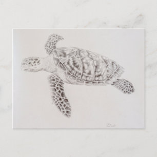 Carte Postale Dessin de tortue de mer côtière