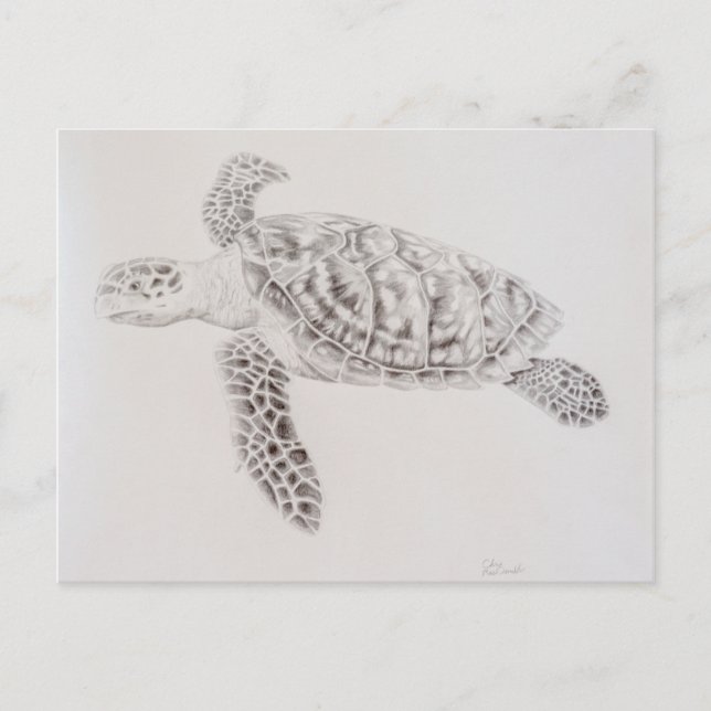 Carte Postale Dessin de tortue de mer côtière (Devant)