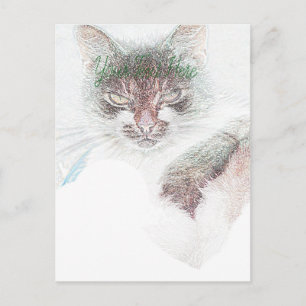 Carte Postale Dessin de visage de chat mignon en colère