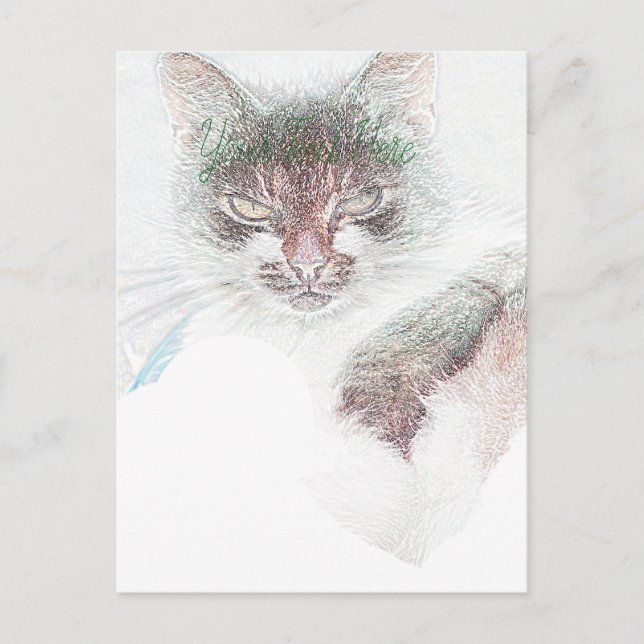 Carte Postale Dessin de visage de chat mignon en colère (Devant)