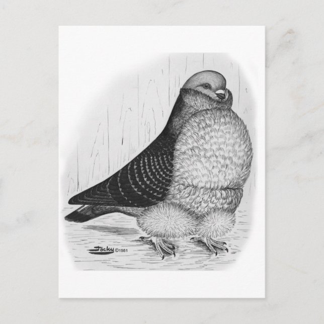 Carte Postale Dessin d'encre de chou chinois (Devant)