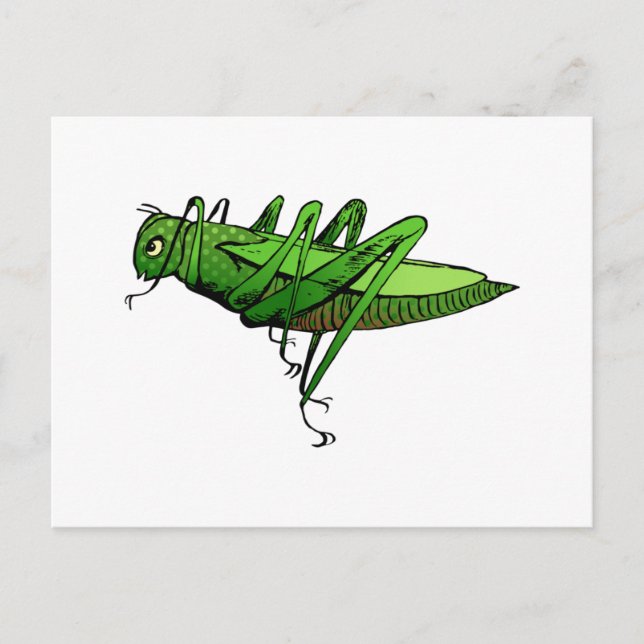 Carte Postale Dessin d'insectes vert vif (Devant)