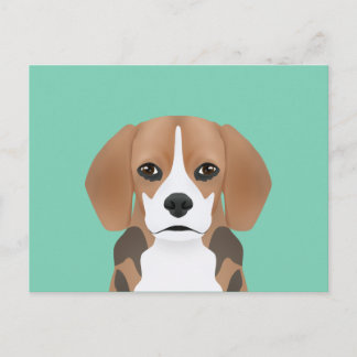 Carte Postale Dessin du beagle