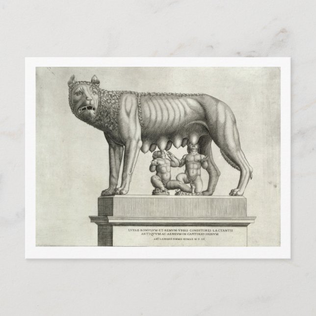 Carte Postale Dessin du bronze étrusque de la si-loup-elle (Devant)