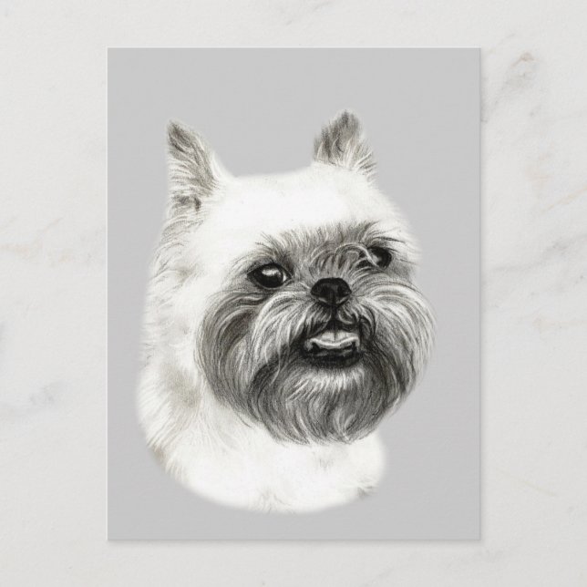 Carte Postale Dessin du chien Griffon de Bruxelles (Devant)