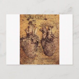 Carte Postale Dessin du coeur et de ses vaisseaux sanguins