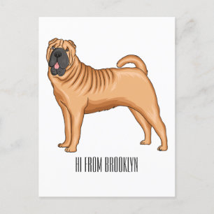 Carte Postale dessin humoristique chinois de chien Shar-Pei