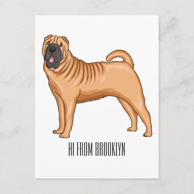Carte Postale dessin humoristique chinois de chien Shar-Pei (Devant)