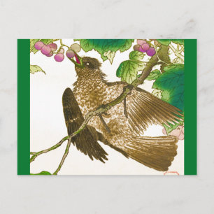 Carte Postale Dessin japonais de Jay sur une vigne de raisin