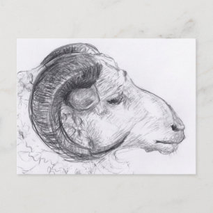 Carte postale Dessin Originale Ram