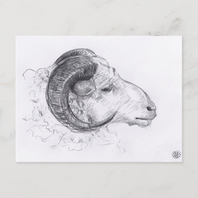 Carte postale Dessin Originale Ram (Devant)