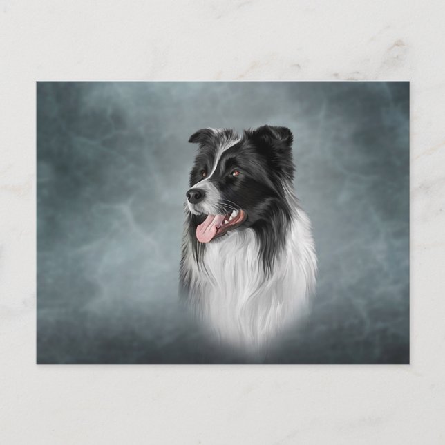 Carte Postale Dessin race de chien Bordure Collie (Devant)
