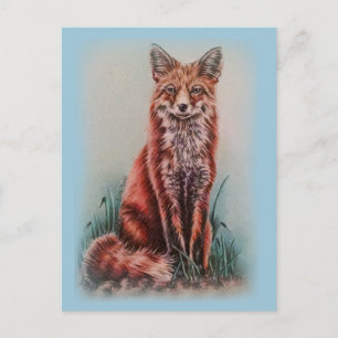 Carte Postale Dessin Red Fox Animal Art Pencil Sketch
