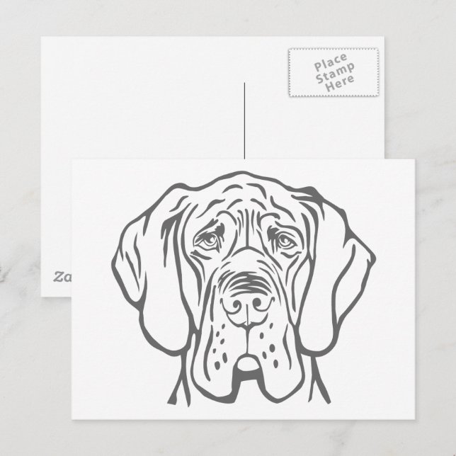 Carte postale dessin tête de Dogue Allemand (Devant / Derrière)