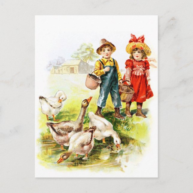 Carte Postale Dessin vintage : Alimentation des oies (Devant)