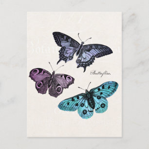 Carte Postale Dessin vintage de papillon bleu sarcelle violet ro
