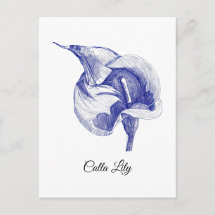 Carte Postale Dessin vintage d'un lys calla illustré en fleur