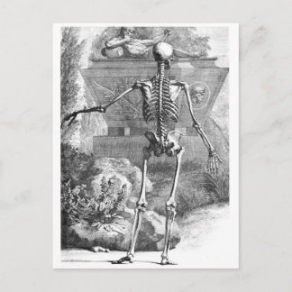 Carte Postale dessin vintage d'un squelette orienté vers l'arriè