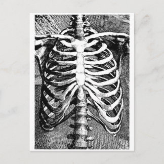 Carte Postale Dessin vintage d'une cage à ruban