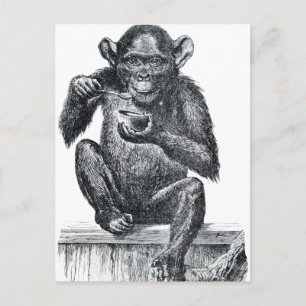 Carte Postale Dessin vintage pour bébé chimpanzé