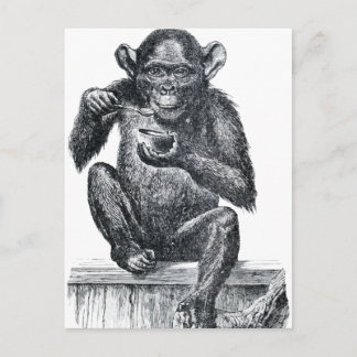 Carte Postale Dessin vintage pour bébé chimpanzé