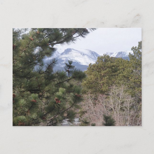 Carte postale d'Estes Park, Colorado (Devant)