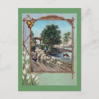 Carte Postale Destin de chien Mouton en bas du chemin