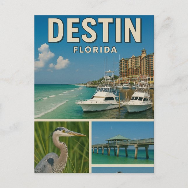 Carte postale Destin Florida Travel (Devant)
