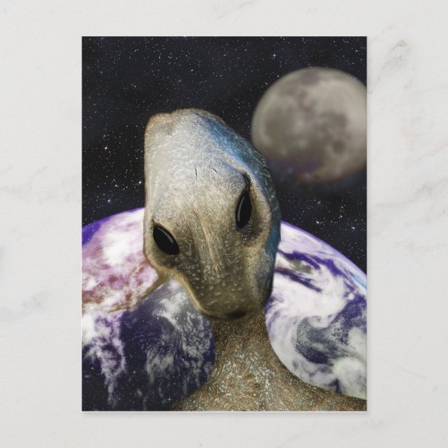 Carte Postale Destination : Terre (Devant)