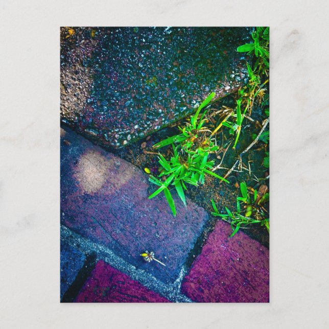 Carte Postale Détail de texture à Covington Géorgie (Devant)