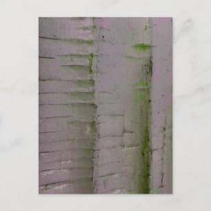 Carte Postale Détail de texture près de Milledgeville Géorgie
