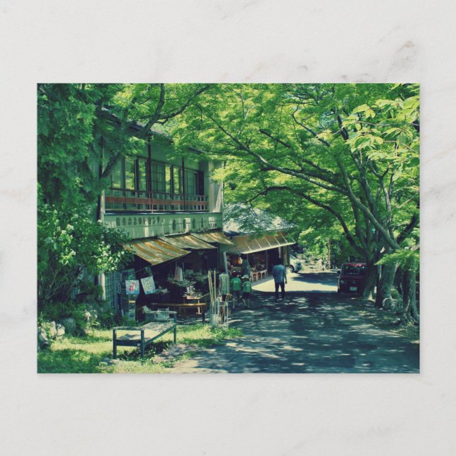 Carte postale d'été japonaise (PC13001) (Devant)