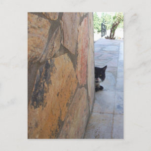 Carte Postale DETECTIVE CAT BEHIND THE STONE WALL / Father's Day
